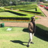 Bruno da Motta gonçalves