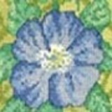 Maria Luisa Oliveira Dias