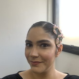 vanessa pessoa navarro