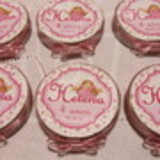 Dioceia Nerzi de Souza