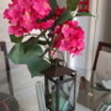 Mirna Fernanda de Oliveira