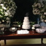 ileana souza barretto