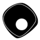 Paula Cavani de Almeida Melo