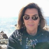 ELISABETH APARECIDA FURTADO DE MENDONCA