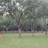 Carolina Cristina R de Oliveira