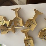 Fernanda Quinta de Araujo