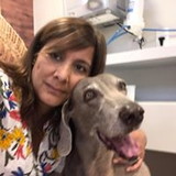 neide pereira macedo