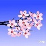 Andréa Luiza Riccó