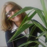 Anamaria Delimademello