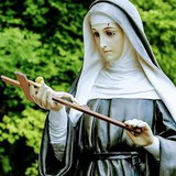 CARLOS ALEXANDRE FERNANDES