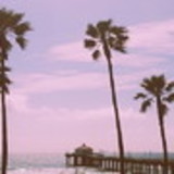 Anne Larinne de Oliveira