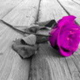 Cíntia Lopes Barbosa