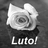 Maria Aparecida de Almeida Souza Rodrigues