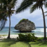 marlene vargas alves