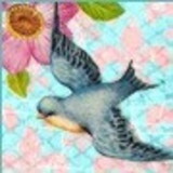 Erika Polyana Rocha Santos Costa