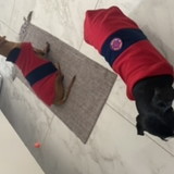 Rita Leide Graminha Rojek