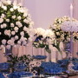 Juliana de oliveira francisco