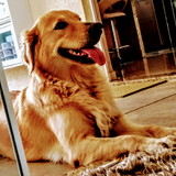 Tairê Barizon de Souza