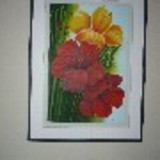 sandra regina de  souza chiquitin lourenço