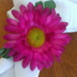 Patricia Rumf Pilonetto