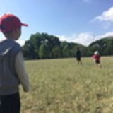 tatiana ikeda sakate