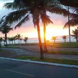 Daniela Bruno Zamboni