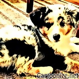 Luisa Rumi Steinbruch 