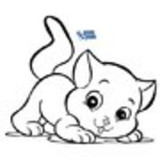 Vanise Fernandes da Cruz