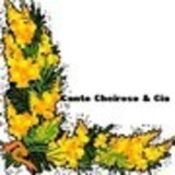 Marilia Freitas Artal