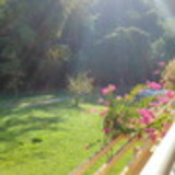 Ana Claudia Alves Costa Santos