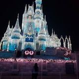 Luana Stonoga Bezerra