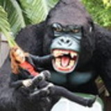 Daniele Alves de Oliveira