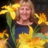 Cibel Zanine de Jesus