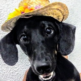 Clara Cristina Mendes da Silva