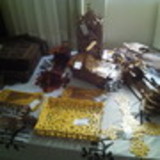 eduardo slywitch martins