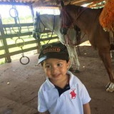 Dirce Correa Falcão