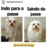 Valeria de Oliveira Melo