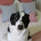 Aquamarine Bijuterias Finas