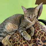 Marcia Maria Pereira