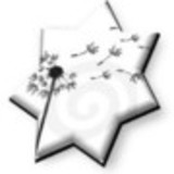 Amanda Mesquita Zanin Cassola