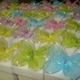 Vanessa Degani Novais