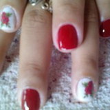 Vivian Freitas Goes Da Silva