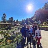 CRISTINA NOGUEIRA MORELIS DE PAIVA