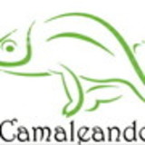 Camaleando