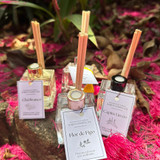 Príscila Diayne Galvão da Silva