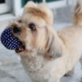 Lidiane Fernandes da Silva