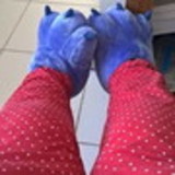 Shaylini de Oliveira