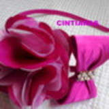 Cintia Marlene Pires