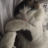 Lilian  Rubin Surita 