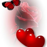 Letícia Fatima Marcelino Moraes